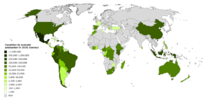 Produzione Avocado nel Mondo