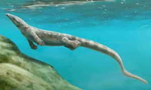 Talattosauro Rettile Marino Preistorico Triassico