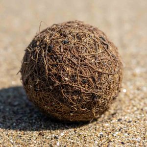 Palla di Posidonia una sfera pelosa