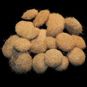 Palle di Posidonia un tesoro della Natura