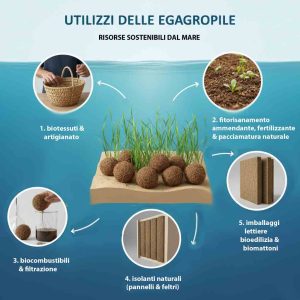 Utilizzi delle Palle di Posidonia