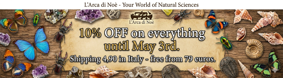 10% OFF on Everything until May 3rd