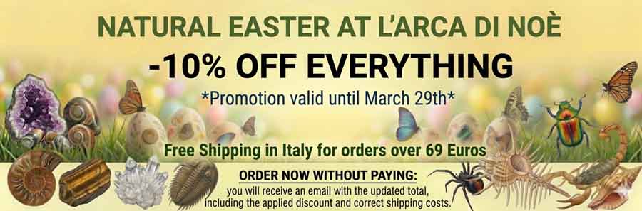Promo Easter -10 % Off Everything Minerals Fossils Insects Shells Taxidermy Equipment etc. www.larcadinoe.com