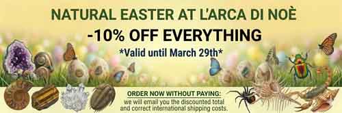 Promo Easter - 10% off Everything until 29 March Fossil, Minerals, Insects, Meteorites, Shells, Taxidermy, etc. www.larcadinoe.com