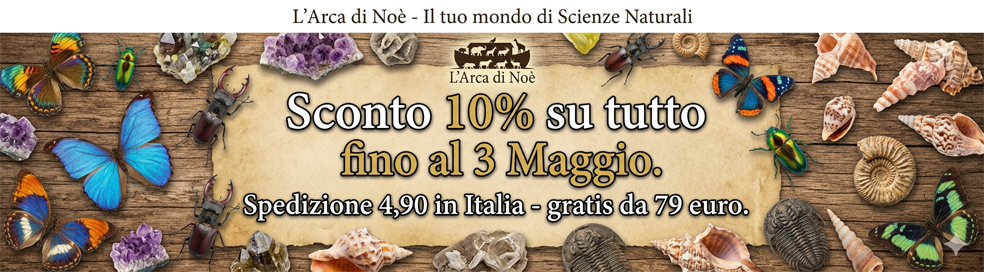 Sconto 10% su tutto fino al 3 Maggio