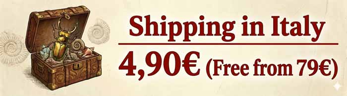 Shipping in Italy only 4,90 Euro - Free from 79 Euro