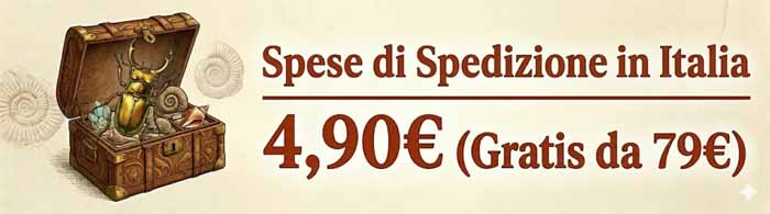 Spedizione soli 4,90 in Italia e gratis per ordini oltre 79 euro