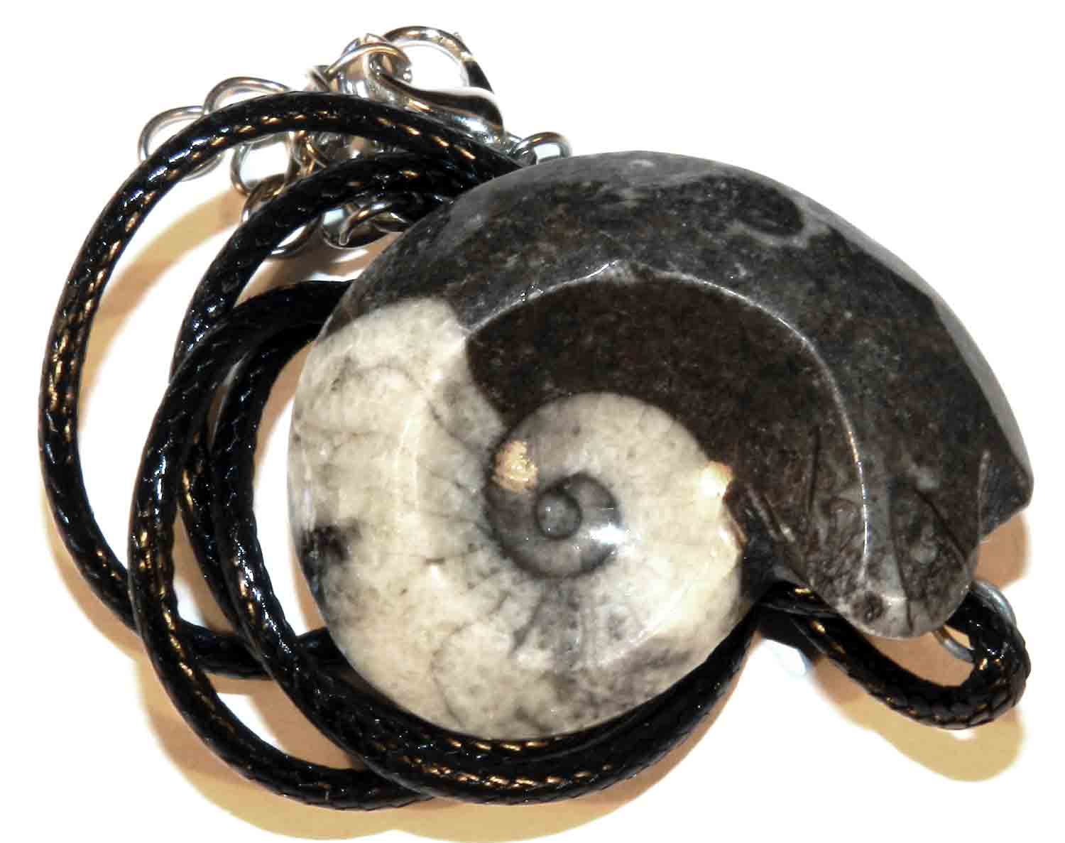 Collana pietra Legno Fossile le origini