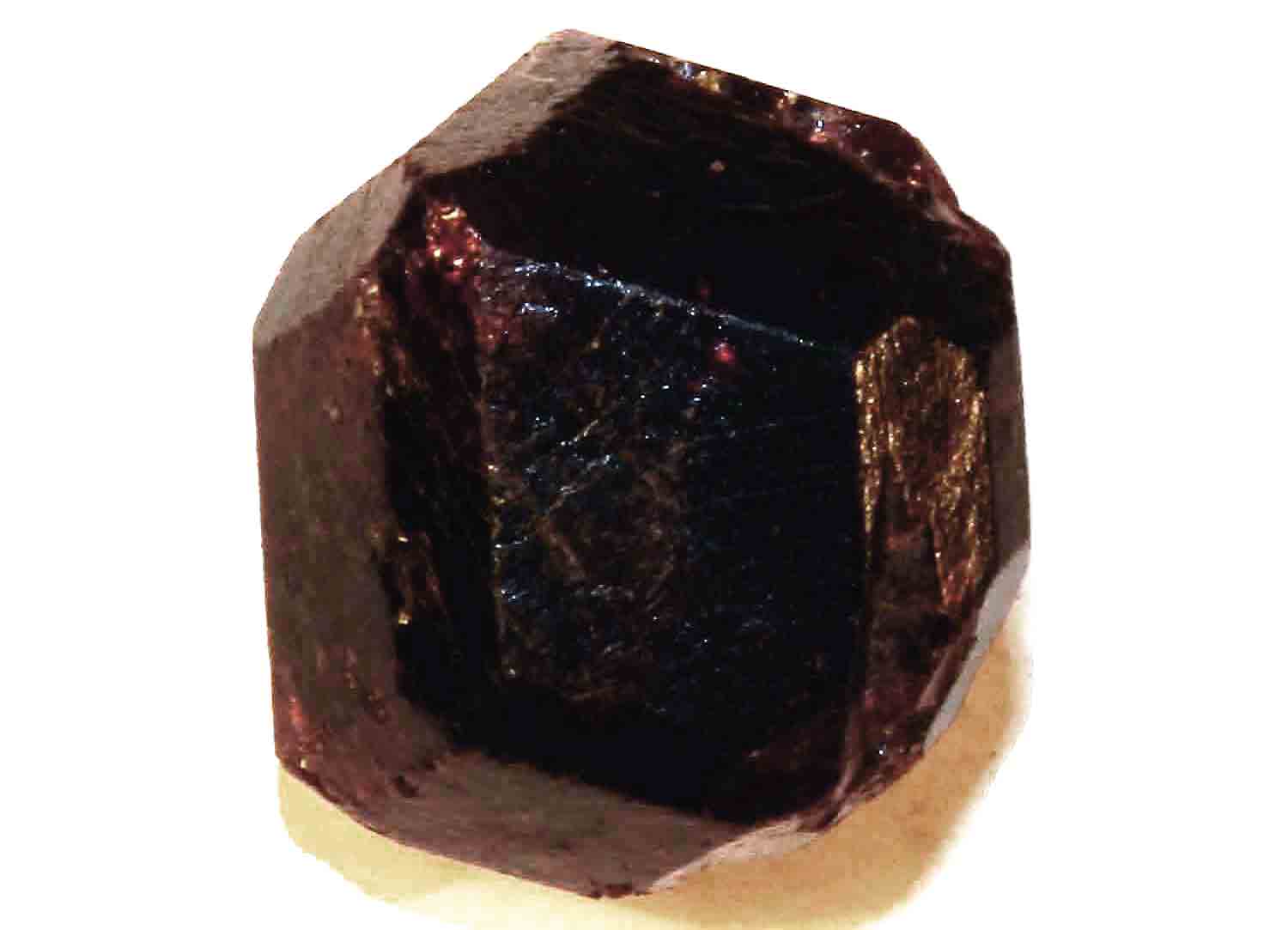 Museo Galileo, La Mostra Circinus Con Centinaia Di Compassi Originali Tra Cui Due Esemplari Di - Foto 6